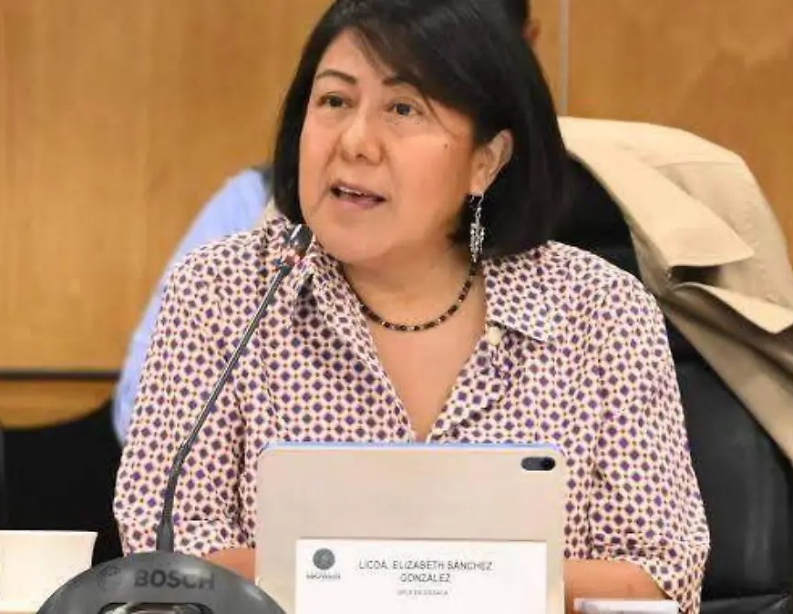 Elizabeth Sánchez González