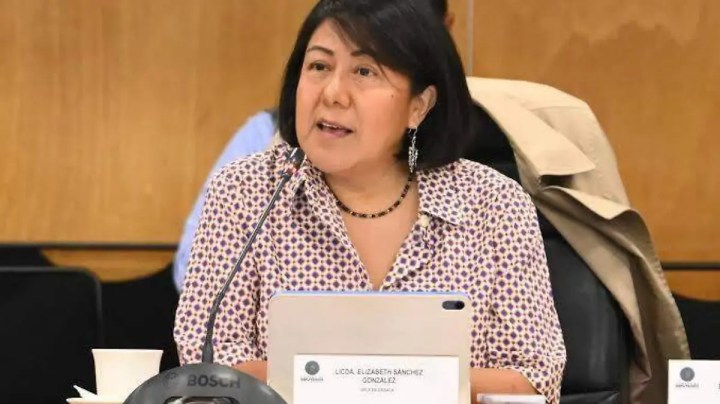 Elizabeth Sánchez González