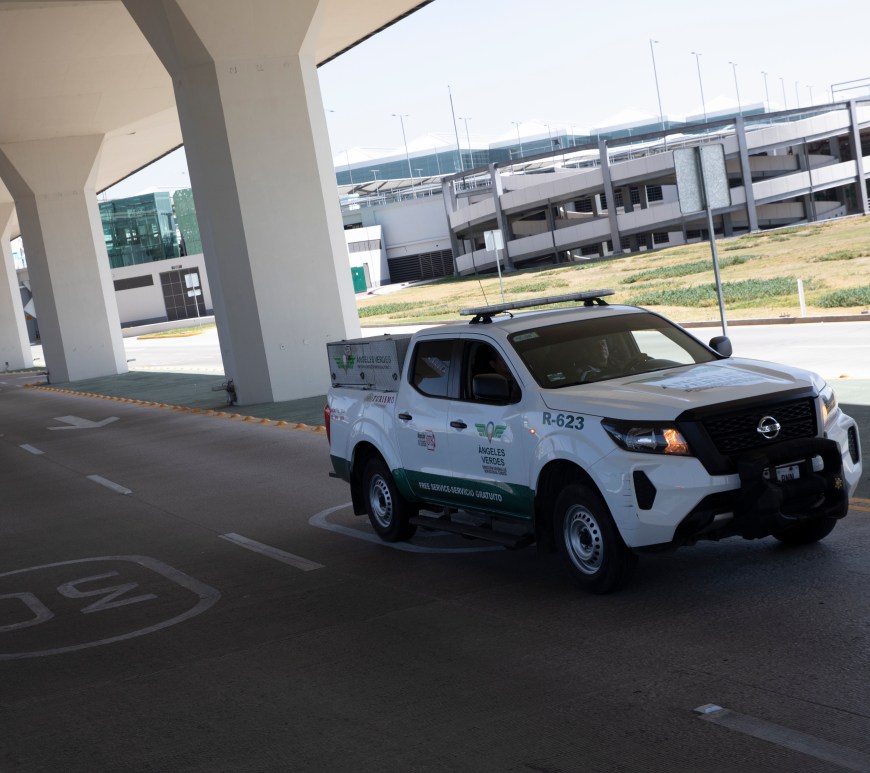 Patrulla de los Ángeles Verdes