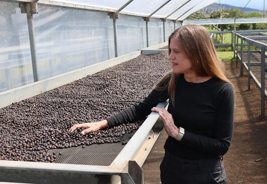 Rachel Peterson | EFE/ Marcelino Rosario