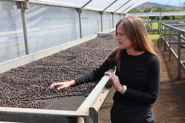 Rachel Peterson | EFE/ Marcelino Rosario