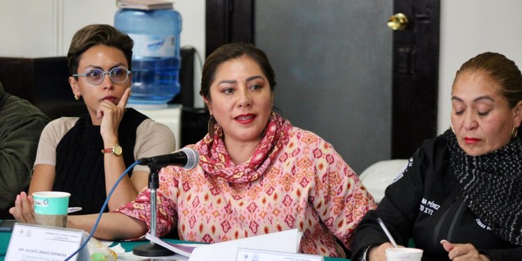 Xóchitl Bravo Espinosa