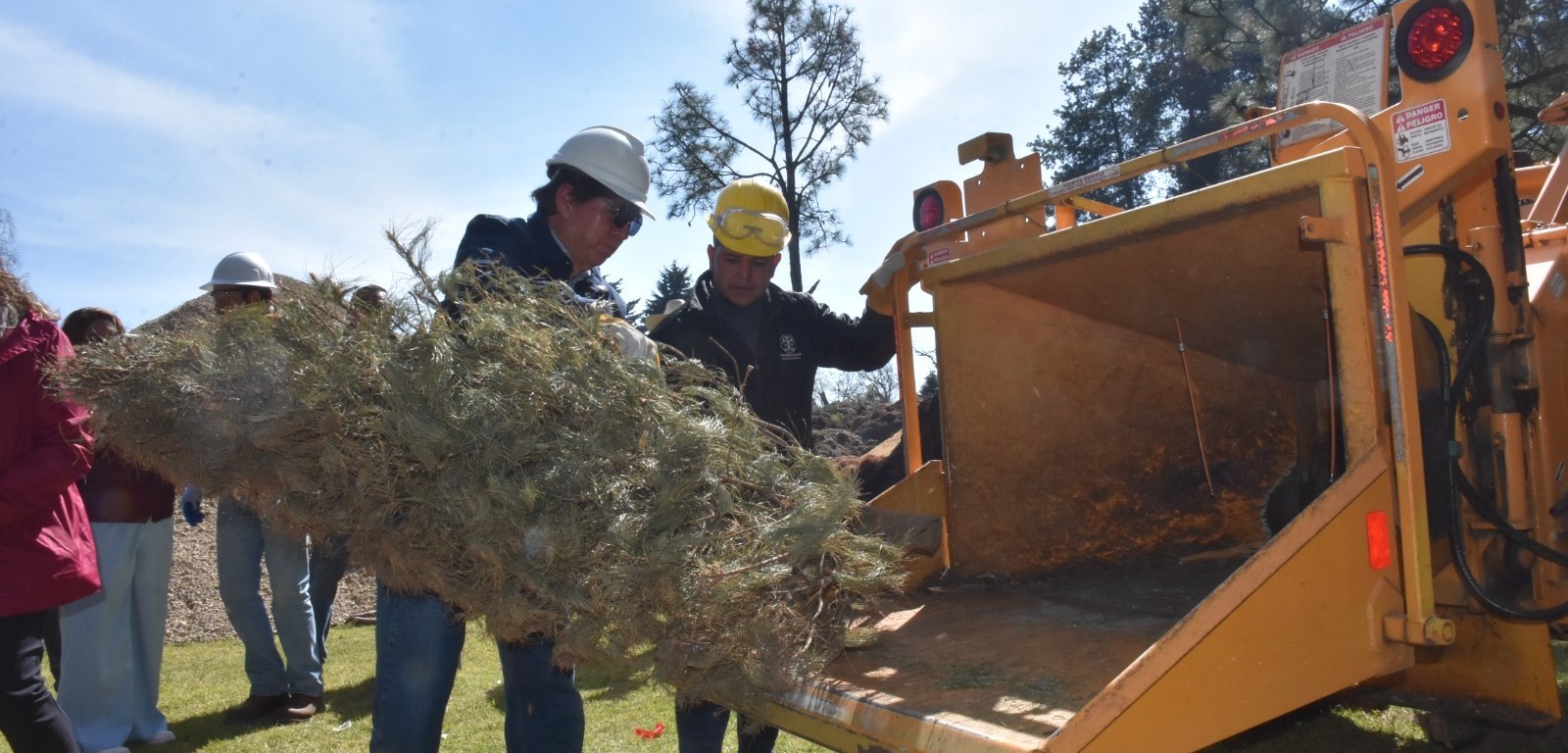 Reciclado de arbol de Navidad