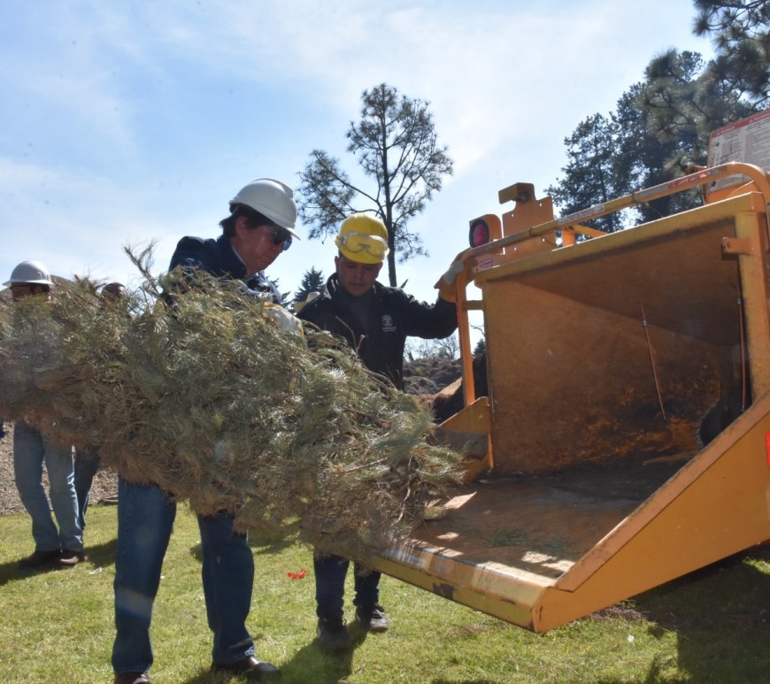 Reciclado de arbol de Navidad