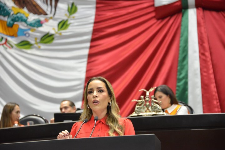 Verónica Martínez García