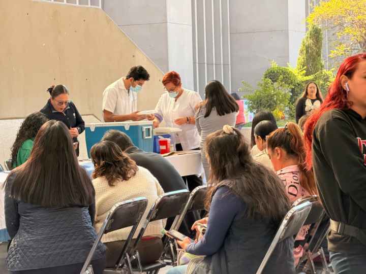 Modulo de vacunacion