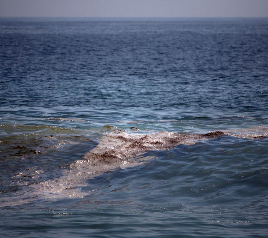 Greenpeace: mancha de crudo en el golfo de México tiene "impacto severo" en el ecosistema