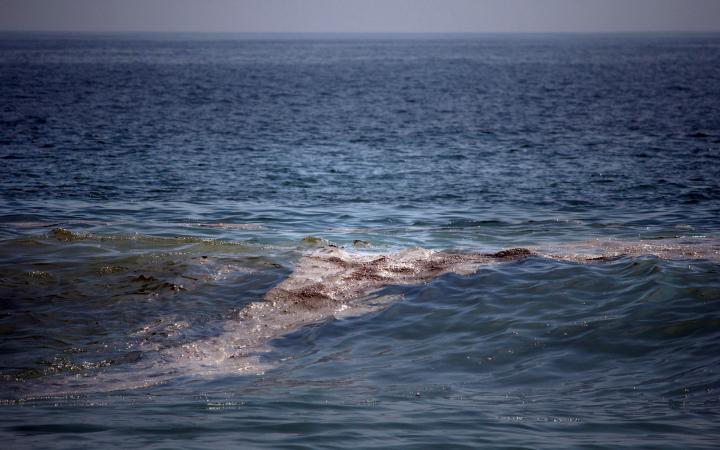 Greenpeace: mancha de crudo en el golfo de México tiene "impacto severo" en el ecosistema