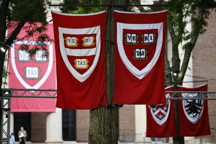 Fotografía de archivo de unas banderas con las insignias de la Universidad de Harvard. EFE/Cj Gunther

