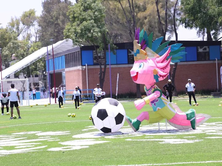 Ajolote mundial