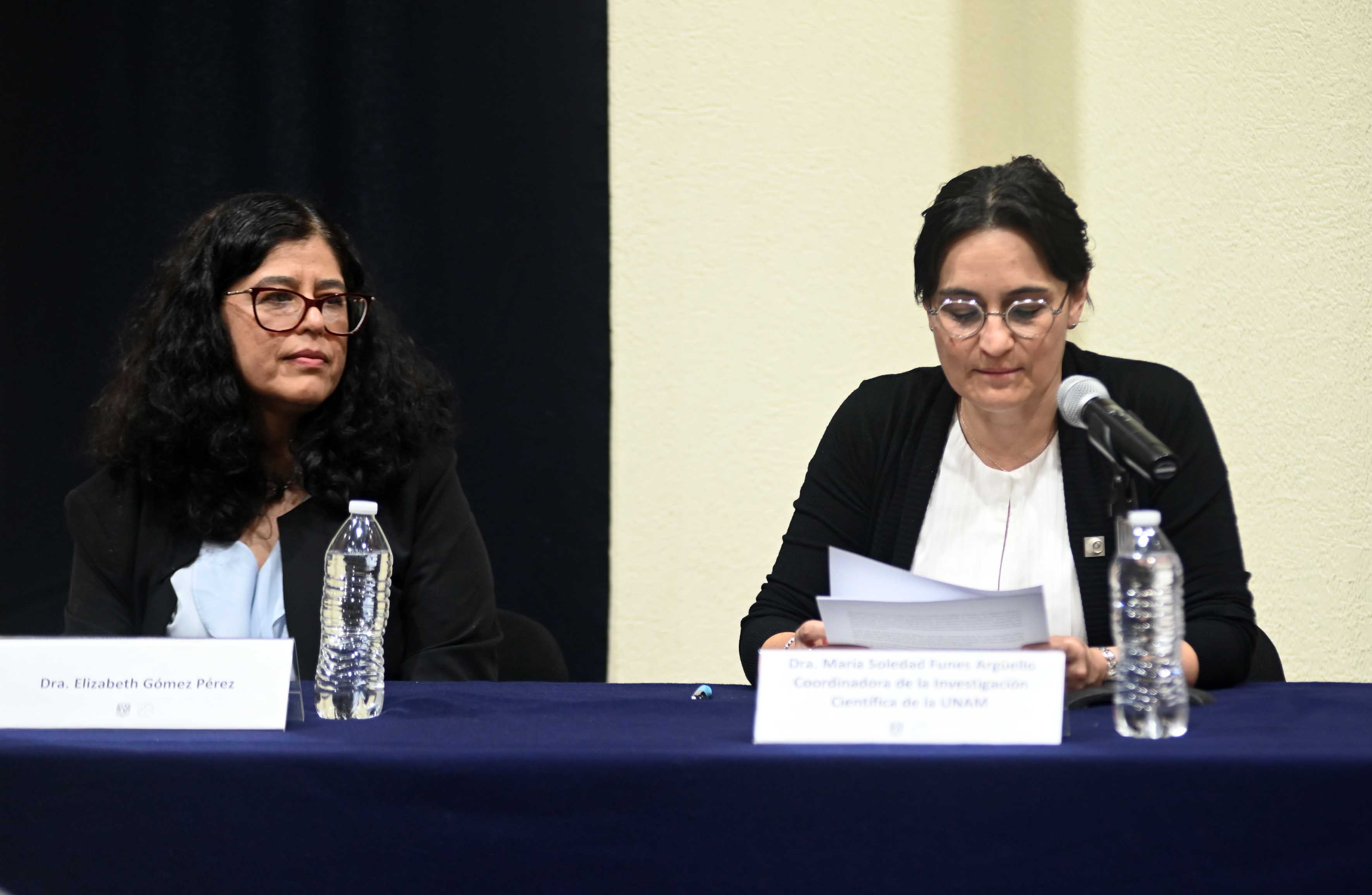 Elizabeth Gómez Pérez