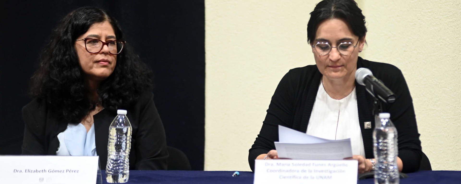 Elizabeth Gómez Pérez