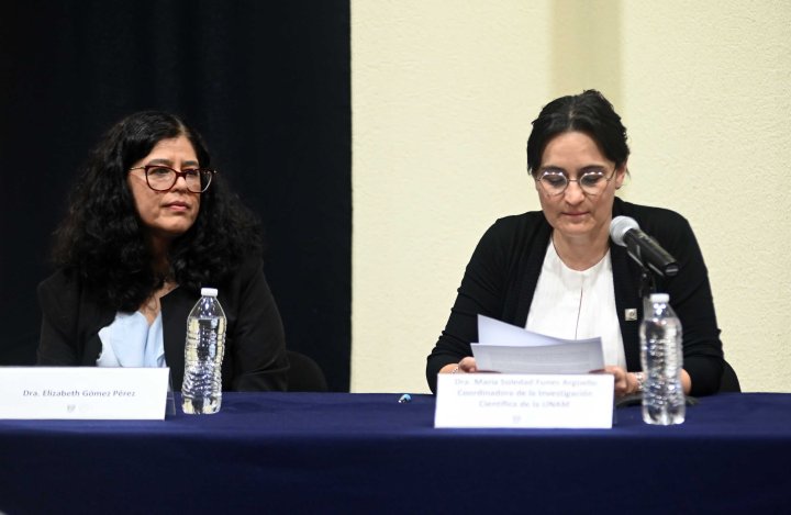 Elizabeth Gómez Pérez 