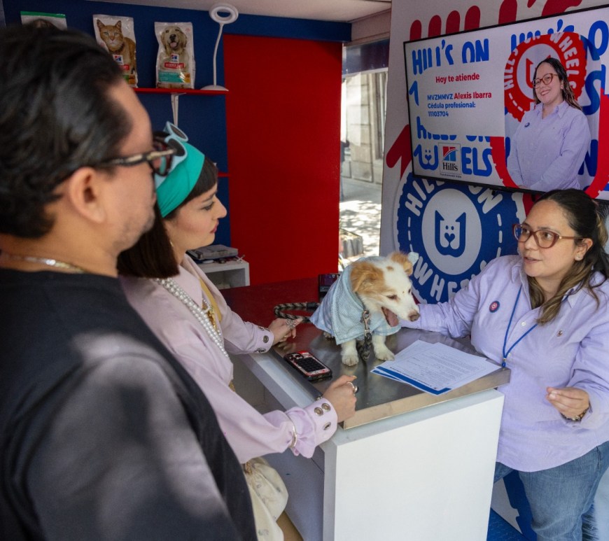 Veterinario y mascota