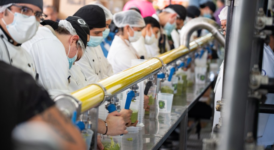 fabrica, oficio, producccion de guacamole