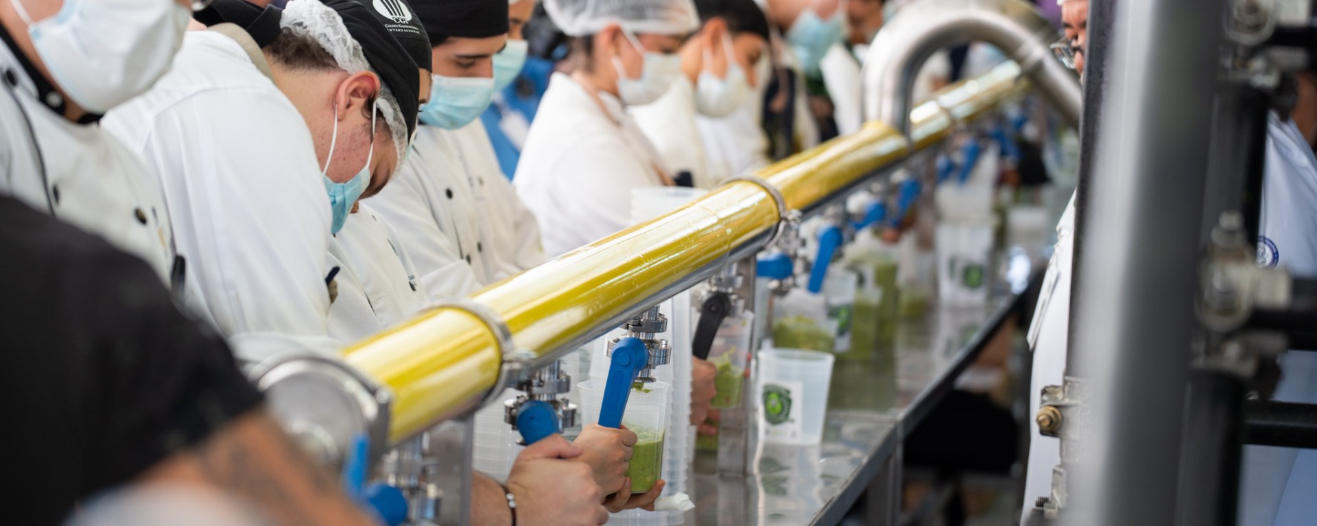fabrica, oficio, producccion de guacamole