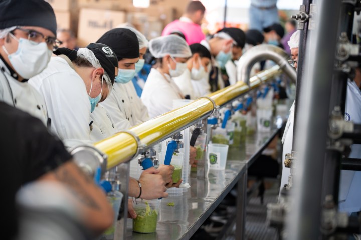 fabrica, oficio, producccion de guacamole