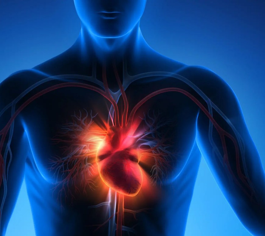 Corazón