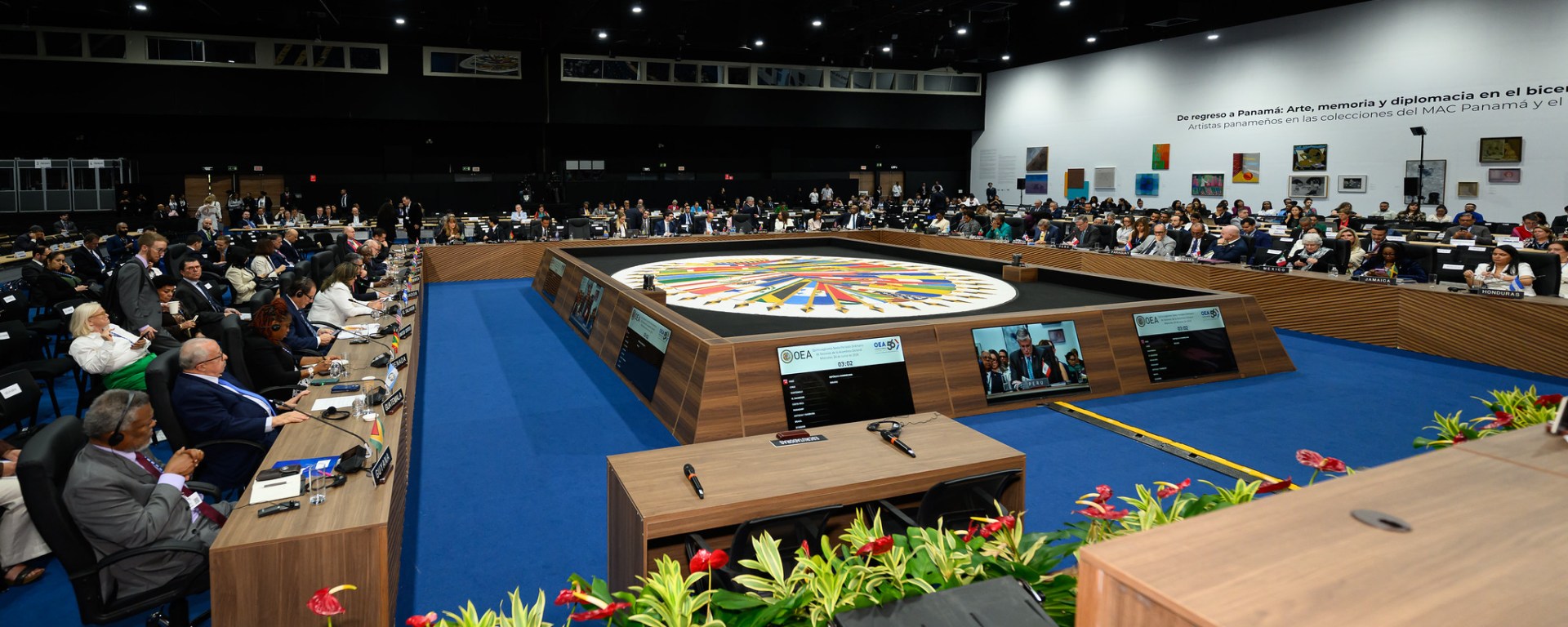 Reunión plenaria de la OEA