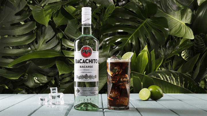 bacardi
