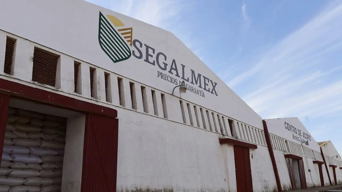 Segalmex