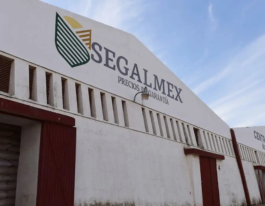 Segalmex