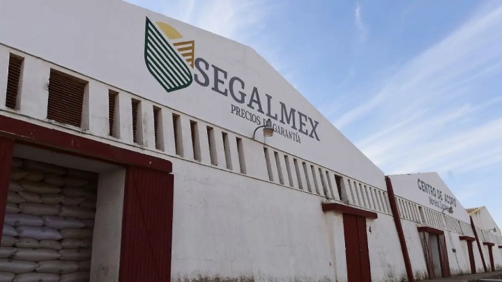 Segalmex