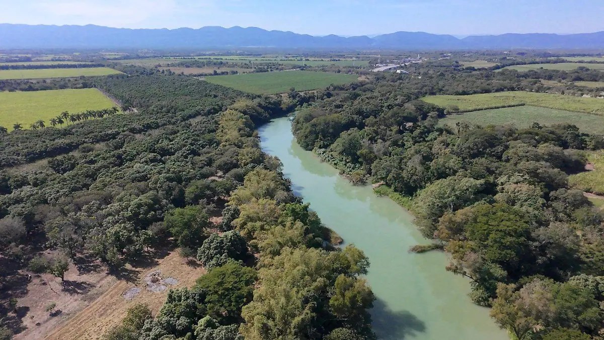 Río en zona boscosa