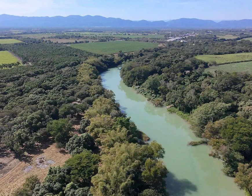 Río en zona boscosa