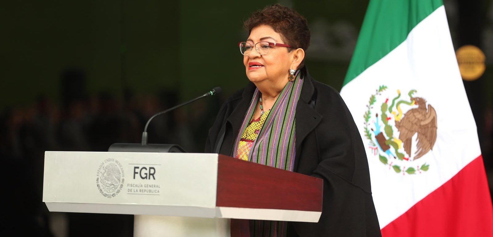 Ernestina Godoy