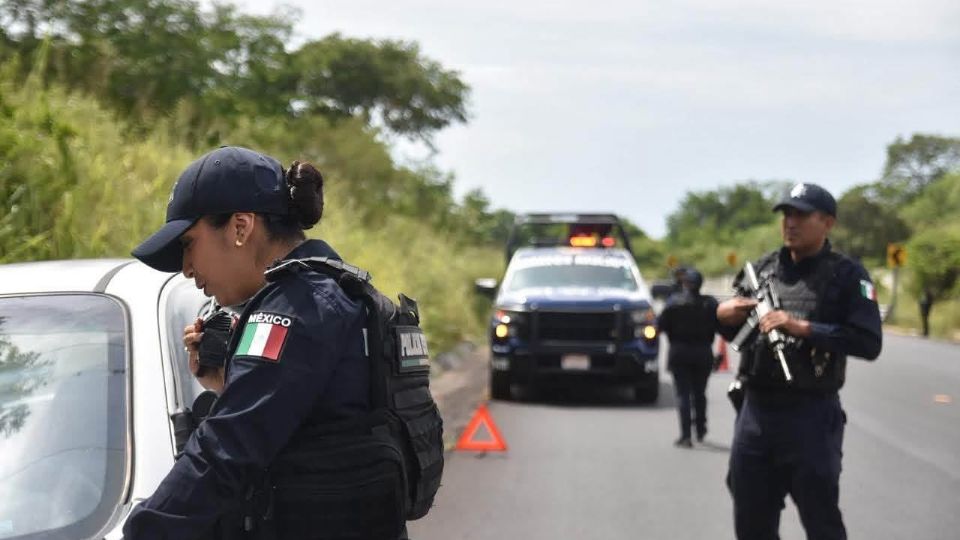 Revisión de policías