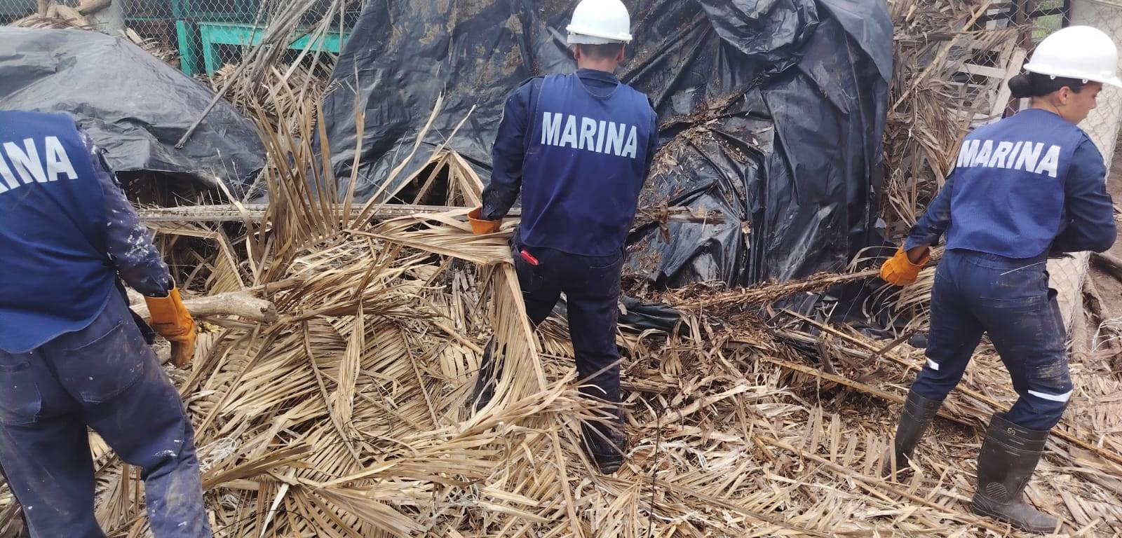 Infantes de marina