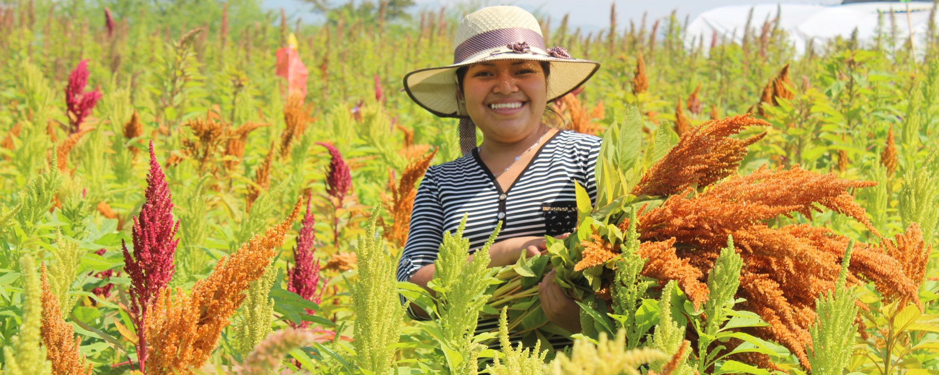 Mujer sonríe en el campo
