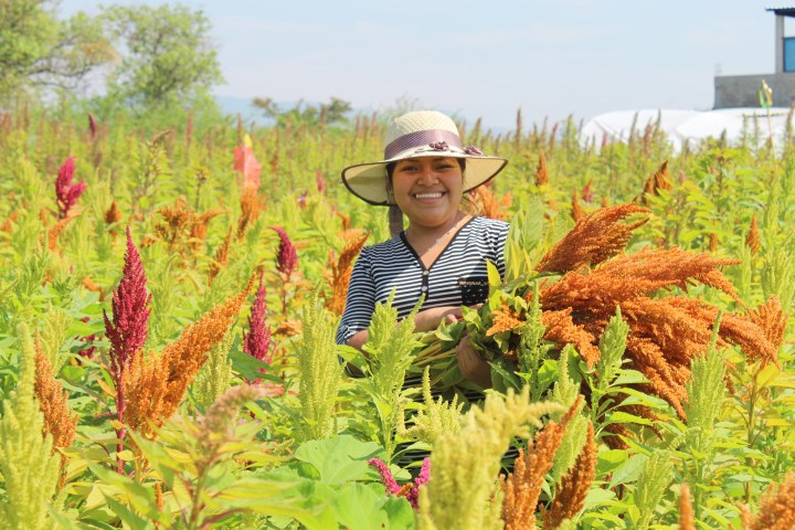 Mujer sonríe en el campo